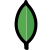 MongoDB Icon